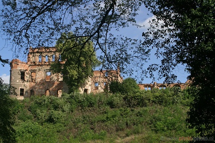 Zamek Siedlisko (20060815 0010)